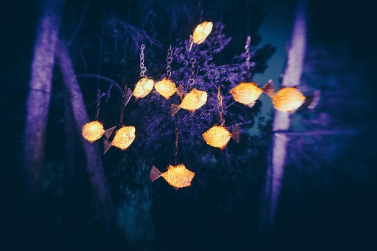 dokumentaarinen-kuvaus-maailmalla-vidafestival-espanja-3