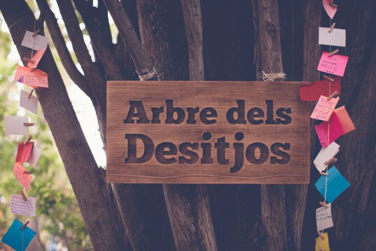 dokumentaarinen-kuvaus-maailmalla-vidafestival-espanja